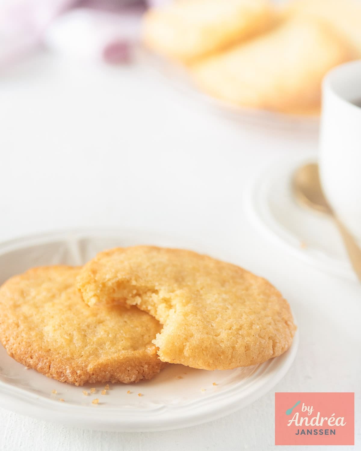 Crunchy Dutch Zandkoekjes Easy to Bake at Home