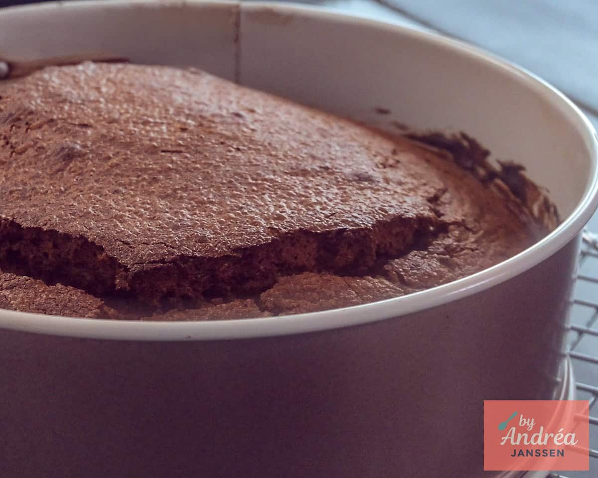 Chocolate cake in a springform pan