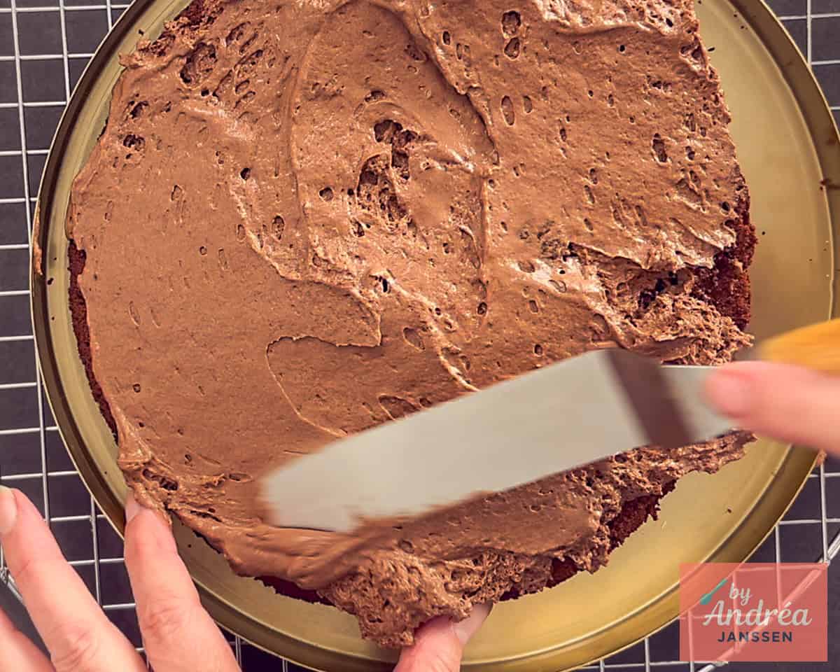 Spread chocolate mousse over the chocolate cake