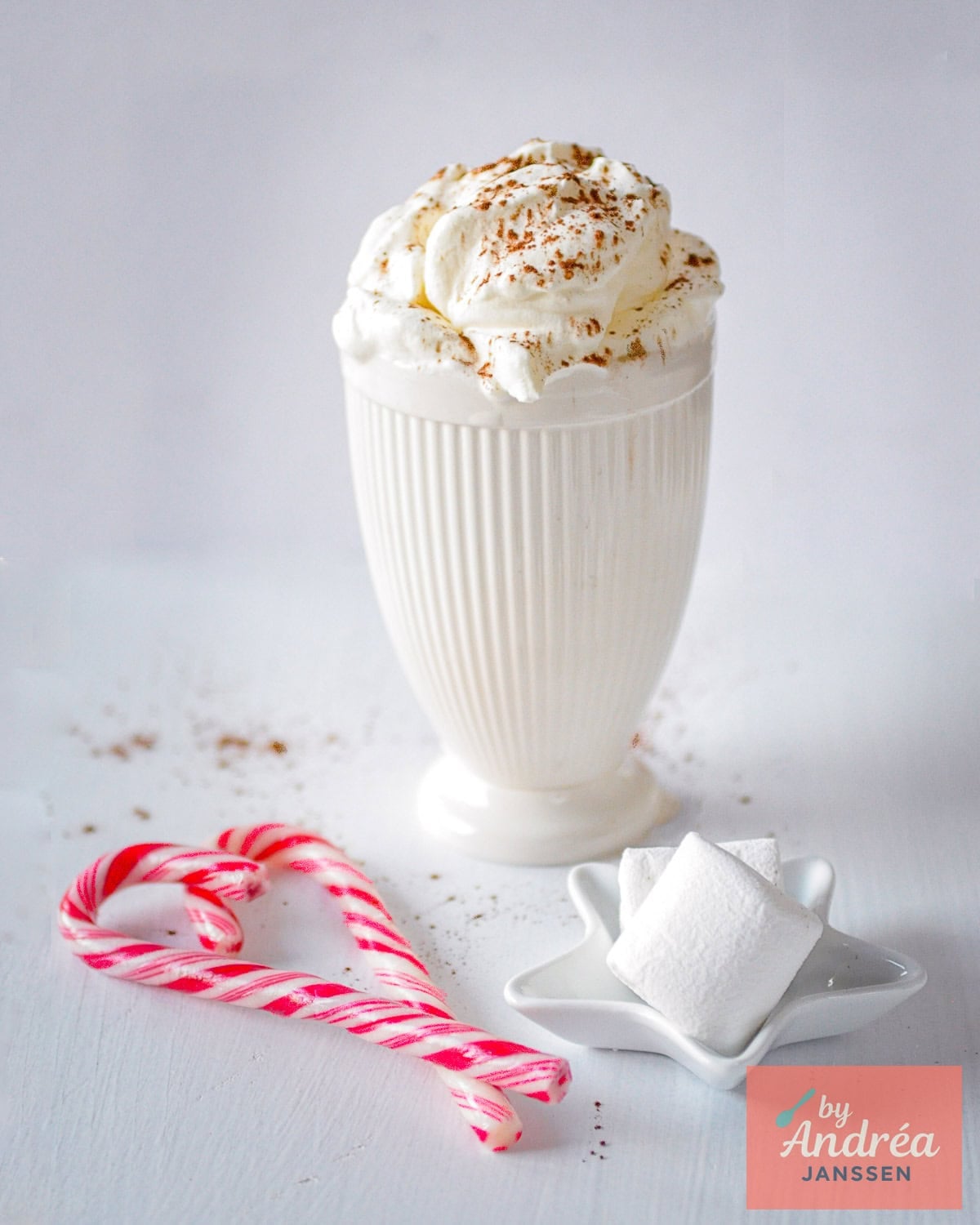 A mug filled with white hot chocolate milk and topped with whipped cream and a splash of cocoa. Some Christmas decorations around the mug.