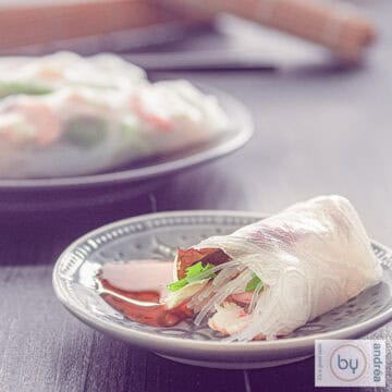 A square picture with a grey plate with a spring roll, vietnamese style with chicken and shrimp.