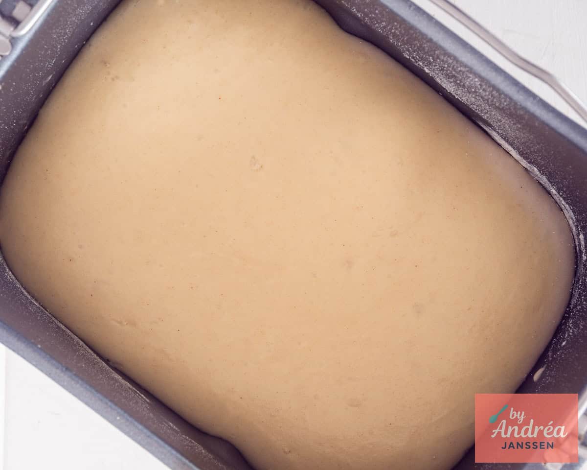 Dough in a bread baking machine pot.