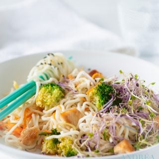 Plate with Stir fry chicken with veggies and noodles