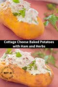 Two pictures with a cottage cheese baked potato above each other. A text in between: cottage cheese baked potatoes with ham and herbs