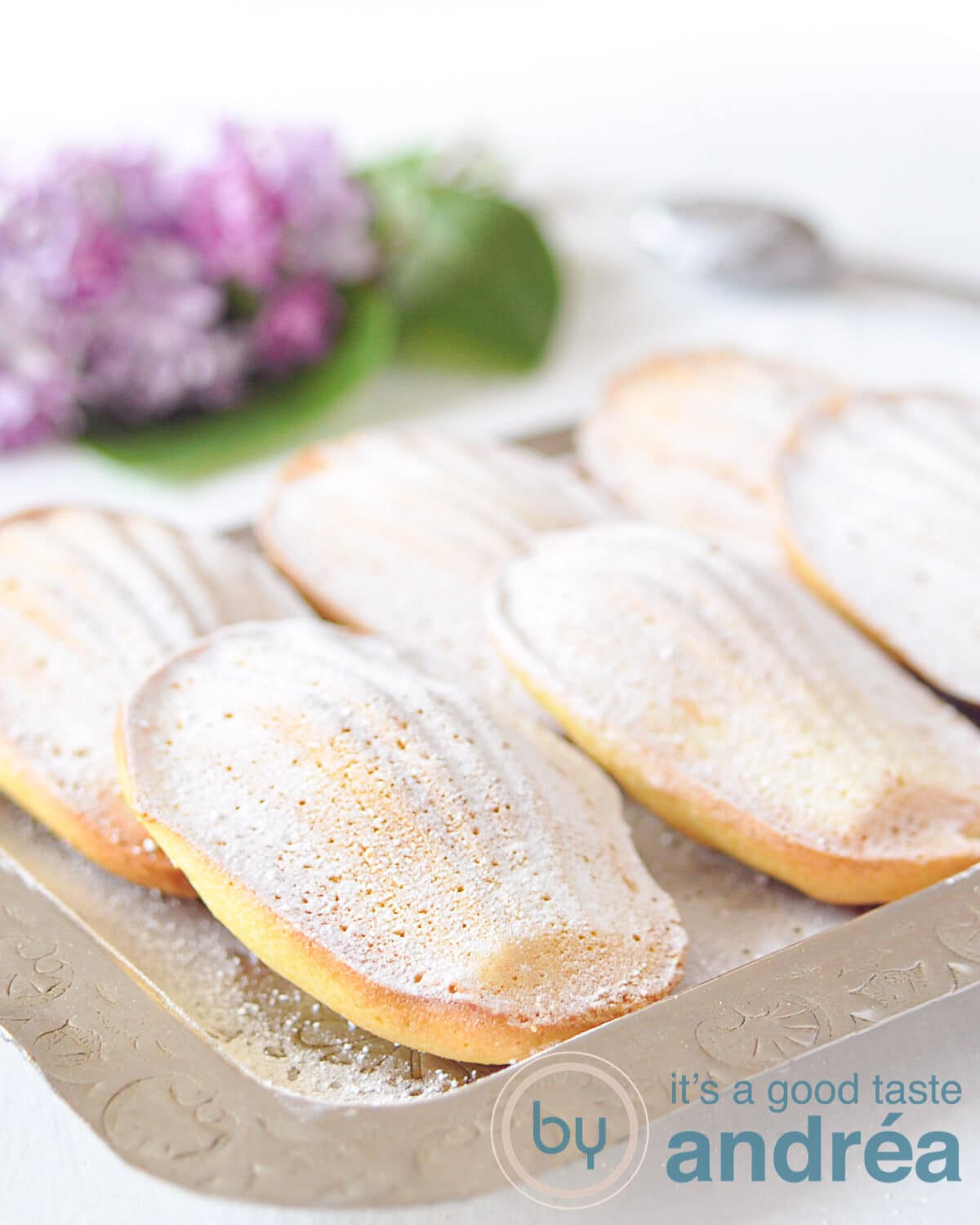 6 orange madeleines on a plate