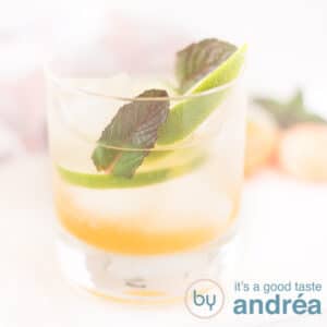 A square photo with a glass filled with apricot, lime, ice and mint. A white background