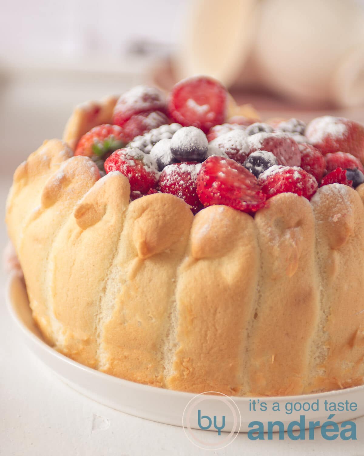 A Charlotte filled with fresh fruit on a white plate