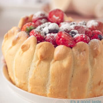 A Charlotte filled with fresh fruit on a white plate
