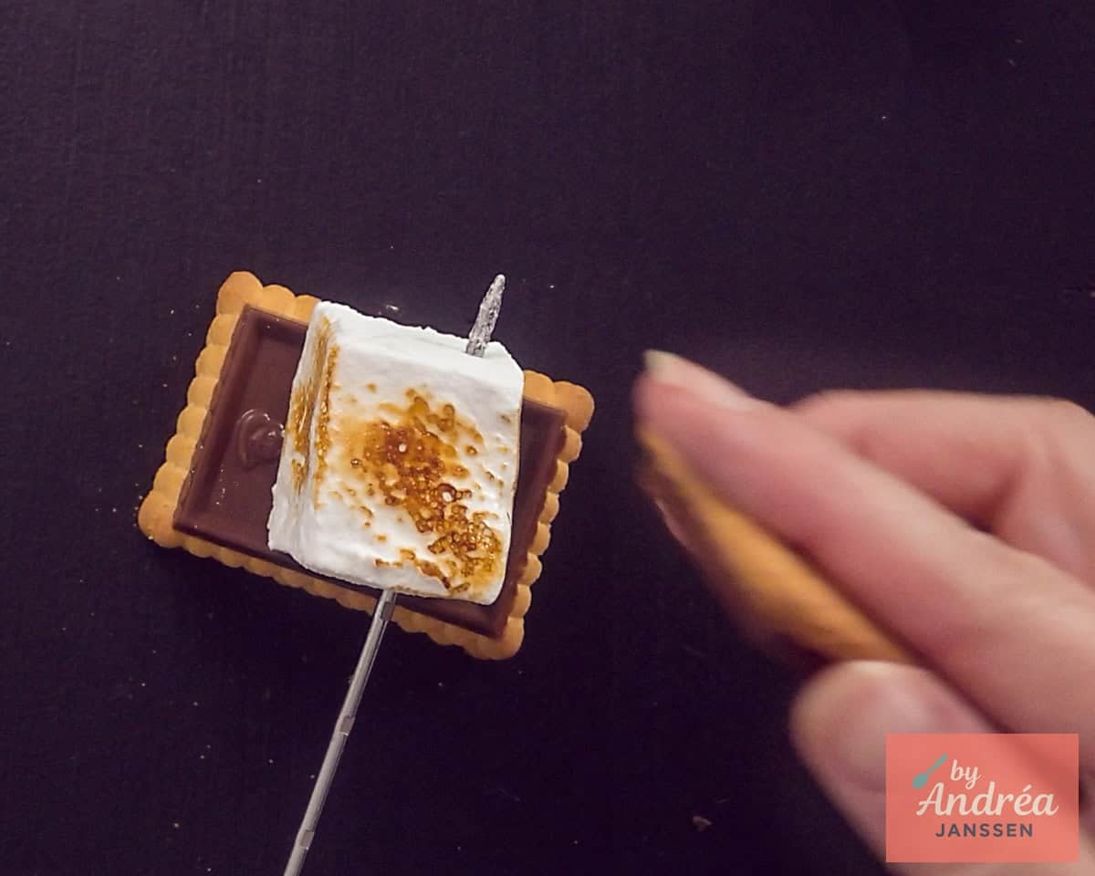 Een geroosterde marshmallow op een chocoladekoekje