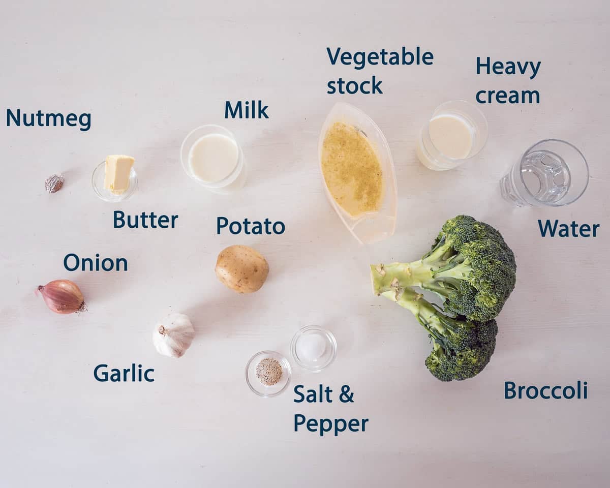 Ingredients Creamy Broccoli Cappuccino on a white background with text description
