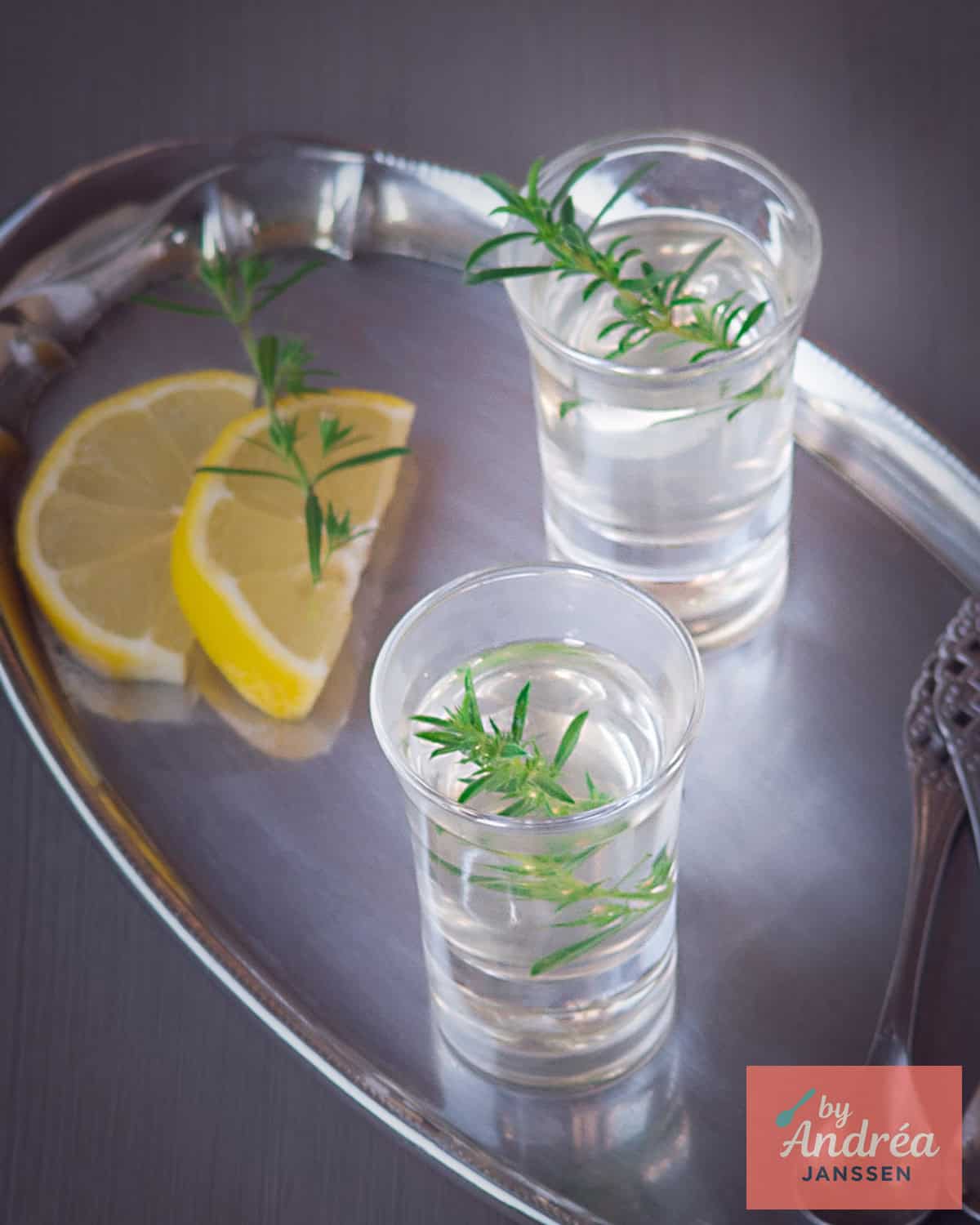 Twee glazen met ouzo, citroen en rozemarijn op een zilveren dienblad.