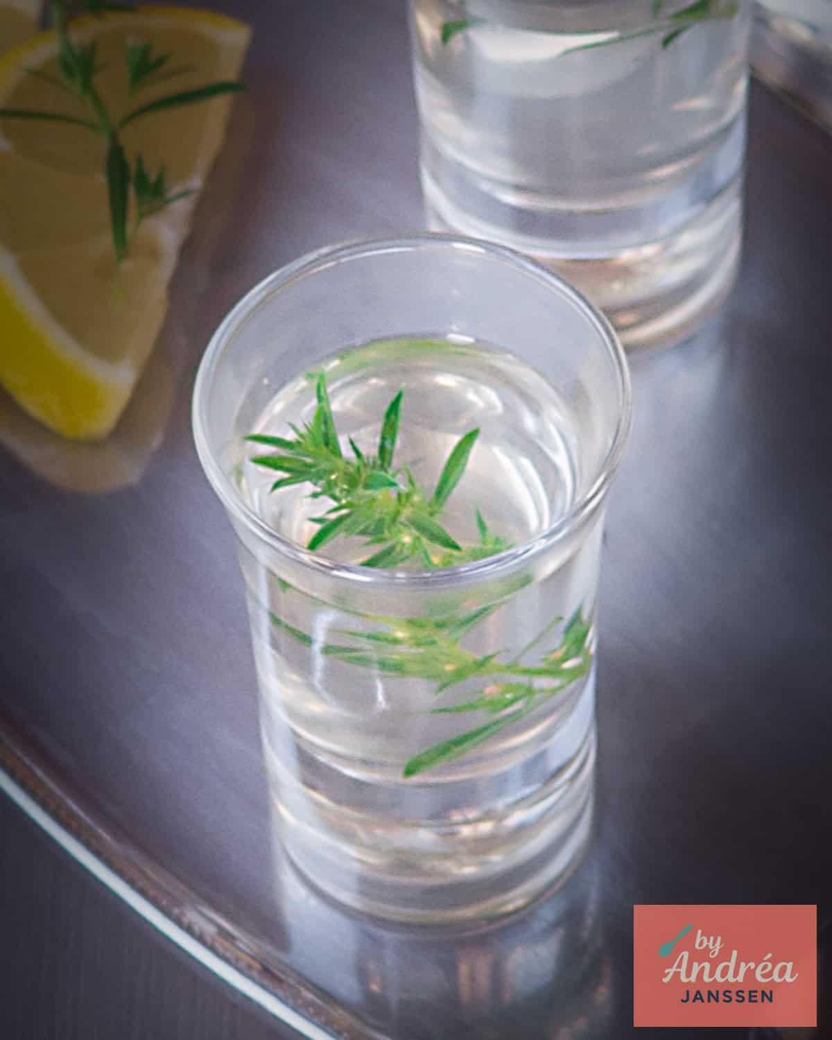 Een ouzo cocktail met citroen en rozemarijn op een grijze ondergrond.