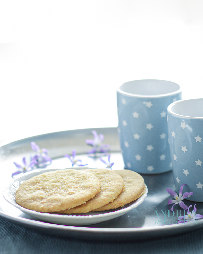 Ginger cookies on plate with cup of coffee