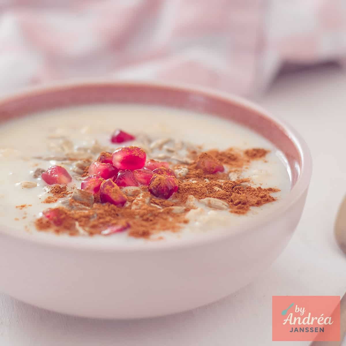 A square photo of oatmeal porridge with cinnamon, nuts and pomegranate seeds.