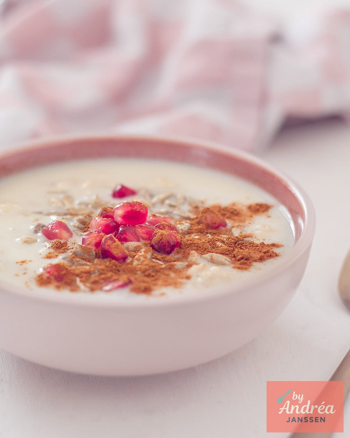 Een kom van havermoutse pap met kaneel en granaatappelpitjes en zonnebloempitten.