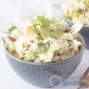A square photo with a green bowl filled with endive stew. A golden fork pricks a bite. A white background