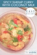 A pink bowl with prawns in a curry with parsley topping. A text at the top: easy recipe, spicy shrimp curry with coconut milk