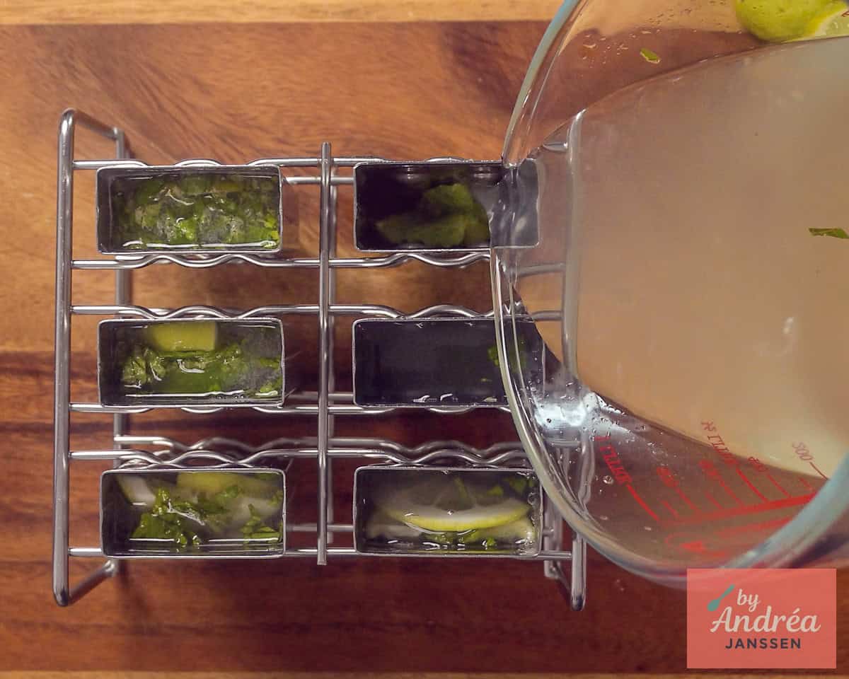 The mixture is poured into ice cube trays.
