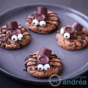 a square photo with a grey plate filled with spider cookies four