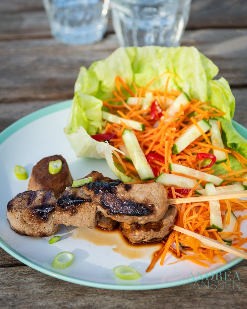Pork tenderloin kebabs with a cucumber carrot salad on a plate