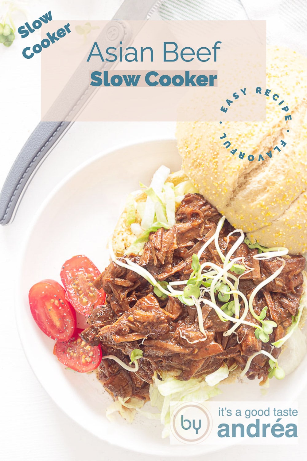 Slow Cooker Asian Beef By Andrea Janssen