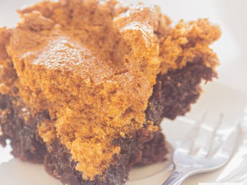 A square picture of a part of missispi mud brownies