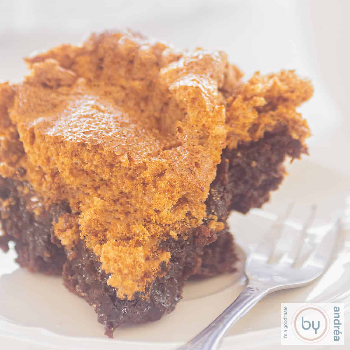 A square picture of a part of missispi mud brownies