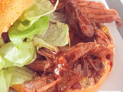 A square picture with a bun with pulled pork and salad on top.