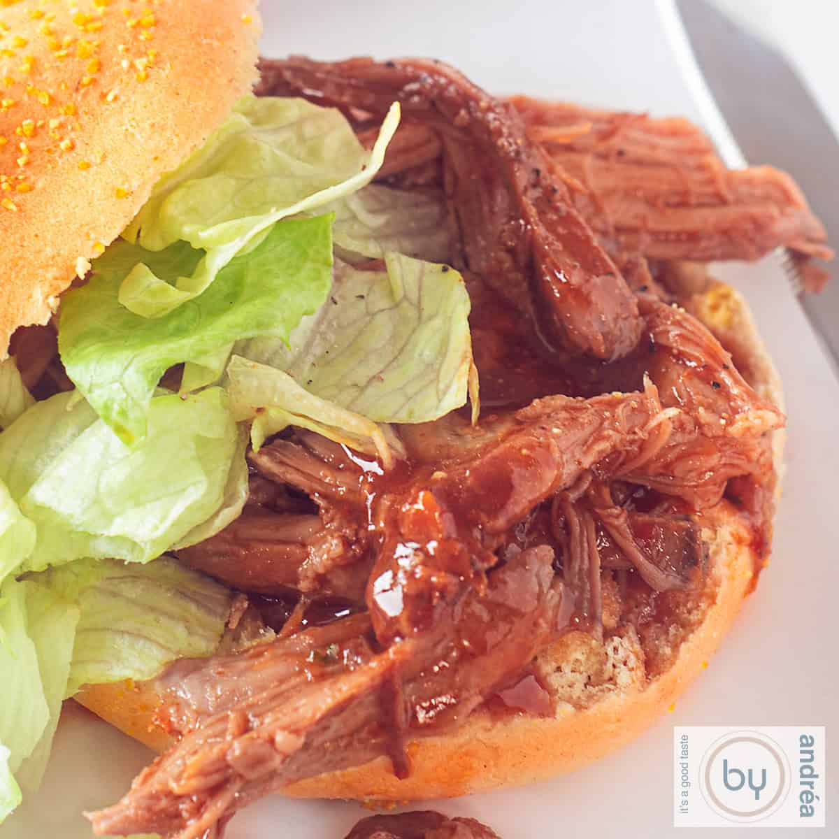A square picture with a bun with pulled pork and salad on top.