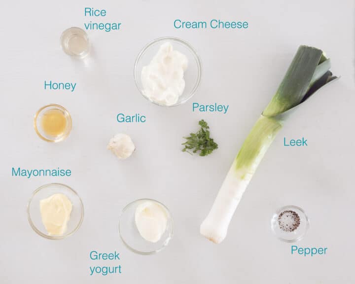 Homemade Dutch Leek Dip Recipe By Andrea Janssen