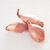 Three shallots on a white background