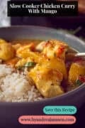 A portion of a gray bowl of chicken curry with mango and rice. A text: Slow Cooker Chicken Curry with Mango