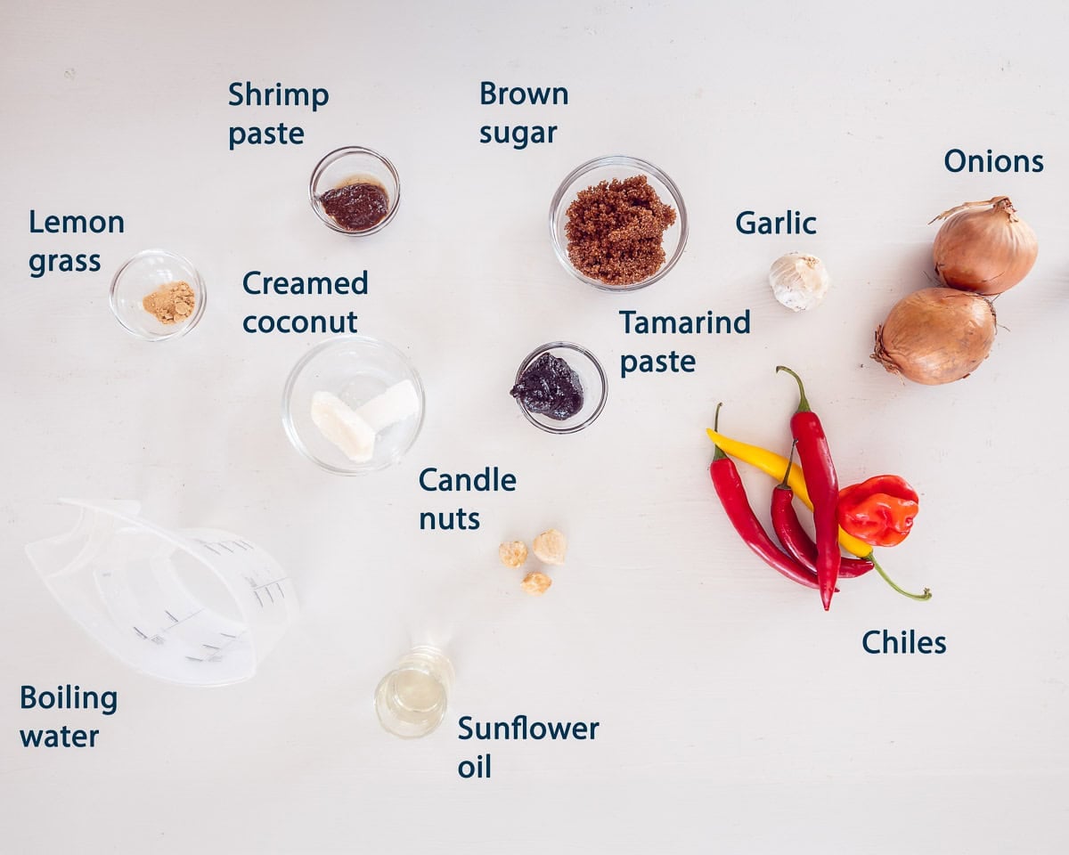 Ingredients Sambal Badjak Recipe, on a white background with a text description