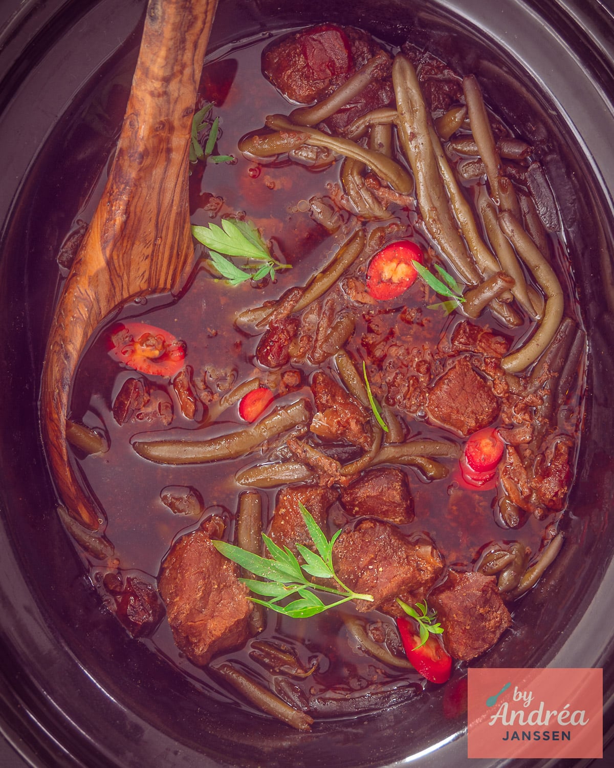 Surinamese beef stew with green beans, sauce, and fresh cilantro